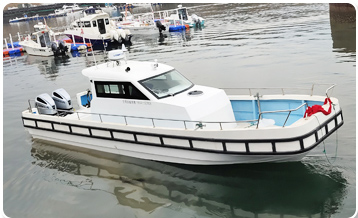 WD-36F work boat WD-36F work boat