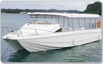 40尺双体观光艇